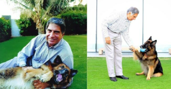 Ratan Tata loved Dogs